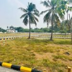 WhatsApp Image 2024-10-05 at 12.06.44 PM (2)