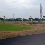 WhatsApp Image 2024-10-08 at 15.35.49